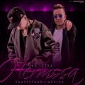 Mr. King、SuaveStodo - Una Letra Hermosa