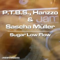 P.T.B.S.、Hanzzo - Sugar Low Flow (Sascha Müller Ambient Remix)