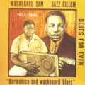 Harmonica and Washboard Blues 1937-1940 (Blues for Ever)
