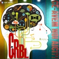 CRBL、Adda - Petre
