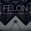 felon - New Potential