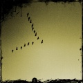 Arroganz、Rotz - Partner (Beatz Mix)