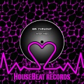 Mr. Thruout - Street Vibes
