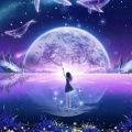 淺歆 - 爱的魔法