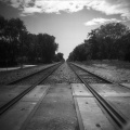 Roula Bolan - One More Time