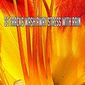 25 Tracks Wash Away Stress With Rain