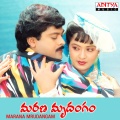 s.p. balasubramanyam - Jingili Jima Jima