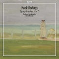 Bochum Symphony Orchestra、David Porcelijn - III. Largo