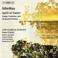 Lahti Symphony Orchestra、Osmo Vänskä、Jyrki Korhonen - Kullervo, Op. 7: Kullervon valitus