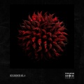 Doctor Boom、Footwork Fuel - Andromeda