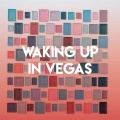 Waking Up in Vegas