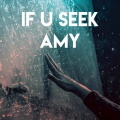 If U Seek Amy