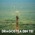 Dragostea Din Tei