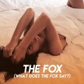 CDM Project - The Fox