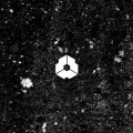 Manuel Ro - Phoenix
