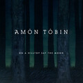 Amon Tobin - On a Hilltop Sat the Moon