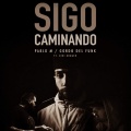 Zeri Kruger、Pablo M - Sigo Caminando