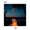 Robiin - Burnin'