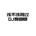 该不该难过 (DJ版)