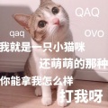 锦零 - 易燃易爆炸