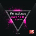 阳山伟伟 - Wei's electric sound