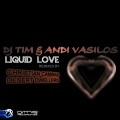 DJ Tim、Andi Vasilos - Liquid Love (Desert Dwellers Mix)