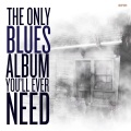 Tampa Red - Sugar Mama Blues