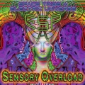 esp、Electric Universe、Space Tribe - EXPERIENCES OUTSIDE TIME