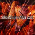 Meditación Interna、Meditación Musical、Musica Meditacion、Entspannungsmusik、Pro Sounds Effects Library - Cave of Serenity