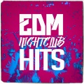 DJ DanceHits - Coming Home