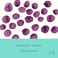 高木正勝 - Marginalia #18