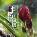 清歌儿、左韩 - 江山美人之褒姒
