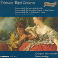 Simon Standage、anthony robson、Collegium Musicum 90、Rachel Brown - II. Allegro