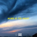 BIG MO、GZ The Creative Boy - Numb in the Night (feat. Big Mo)