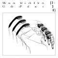 Miserable chillers - Cider Palace