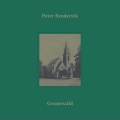 peter broderick - Eyes Closed and Traveling