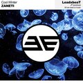 Zaneti - Cool Winter