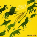 Stevie R、CERPINTXT - Madilo