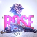Vo - A Rose From A Concrete Jungle