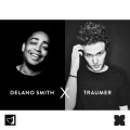 Delano Smith、Traumer - Essence ((Traumer's Reduced Mix))