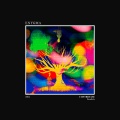 CONTROFASE - Reflex