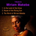 miriam makeba、Doctor - Isangoma