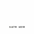 Room 101、Yossi Elephant、יוסי אלפנט - Homeplace Is Calling
