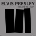 Elvis Presley - A Big Hunk of Love