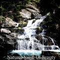 Sounds of Nature Relaxation、Relaxing With Sounds of Nature and Spa Music Natural White Noise Sound Therapy、Soothing White Noise for Relaxation - Stuck In The Downpour