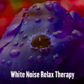 Water Sound Natural White Noise、Relaxing With Sounds of Nature and Spa、Rain Sounds & White Noise、Music Natural White Noise Sound Therapy - Calm Waters