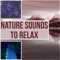 Relaxing Nature Sounds Collection - Calmness and Serenity