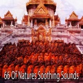 Buddhist Beat