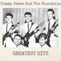 Tommy James And The Shondells - Lost In Your Eyes