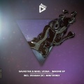 Ninel Vesna、Minitronix、Savastra - Imagine ?